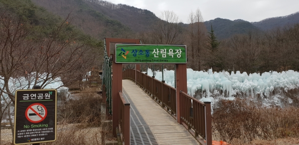 산림욕장 입구