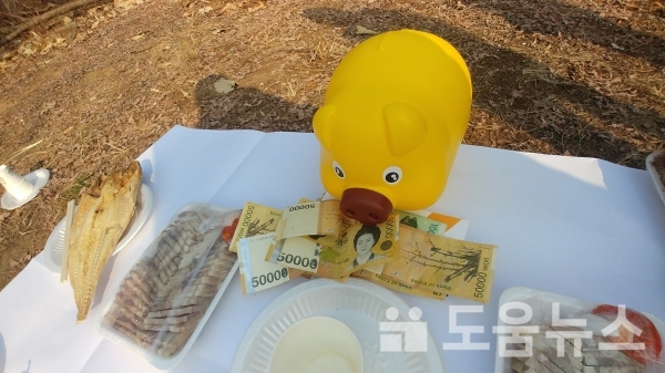 2019년판 황금돼지