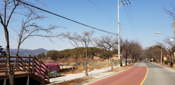 대청호 회인선길