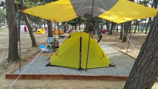 캠핑을 즐기며 , 인생 힐링 즐기기