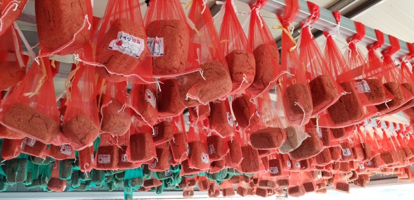 말리고 있는 청정 메주