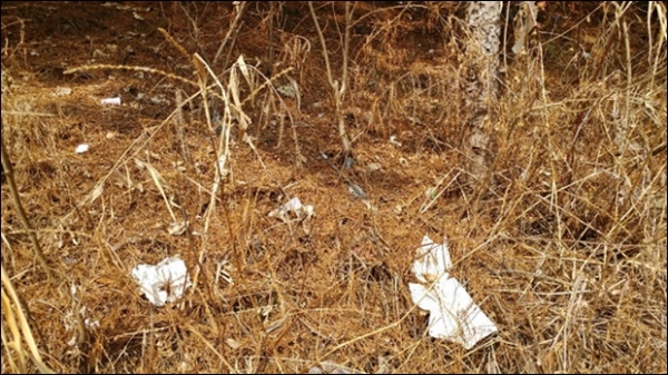 페지가 바람에 날려 공장밖에 나와 있다.