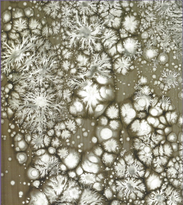 SNOWFLAKES 雪花 "눈 꽃송이"