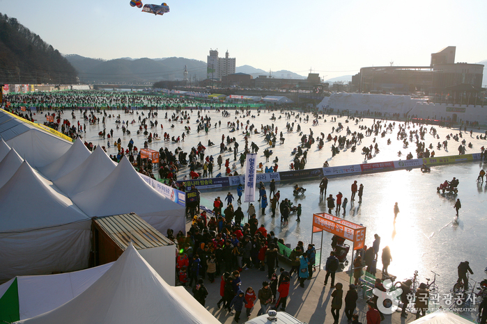 사진 화천산천어축제 모습