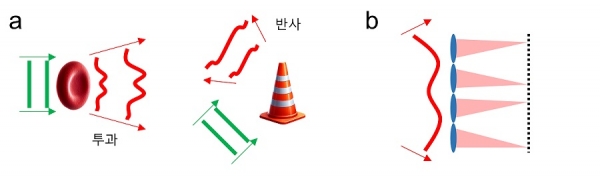 그림 1. a. 물체에 의한 파면 변화. 빛이 물체를 투과하거나 반사될 때, 빛의 파면이 변화된다. b. 샥-하트만 파면센서에서 렌즈 배열의 작동 원리. 각 렌즈에 입사하는 파면의 경사도에 따라 초점의 위치가 달라진다.