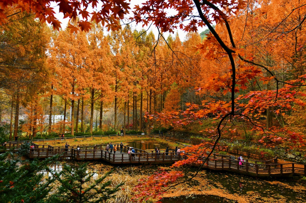 4. 장태산 자연휴양림 한국관광 100선 선정_장태산2
